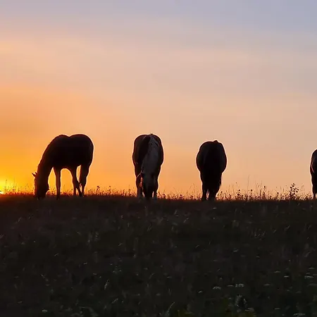 Hof Wehlenbach 아파트 할렌버그