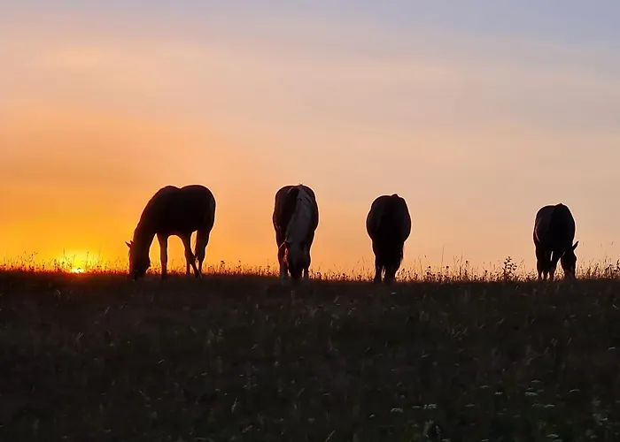 Hof Wehlenbach 아파트 할렌버그